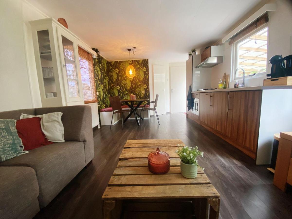 Chalet With Access To The Woods - No 147 Anloo المظهر الخارجي الصورة